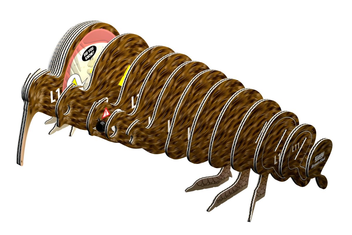 Eugy Brown Kiwi puzzle 3d
