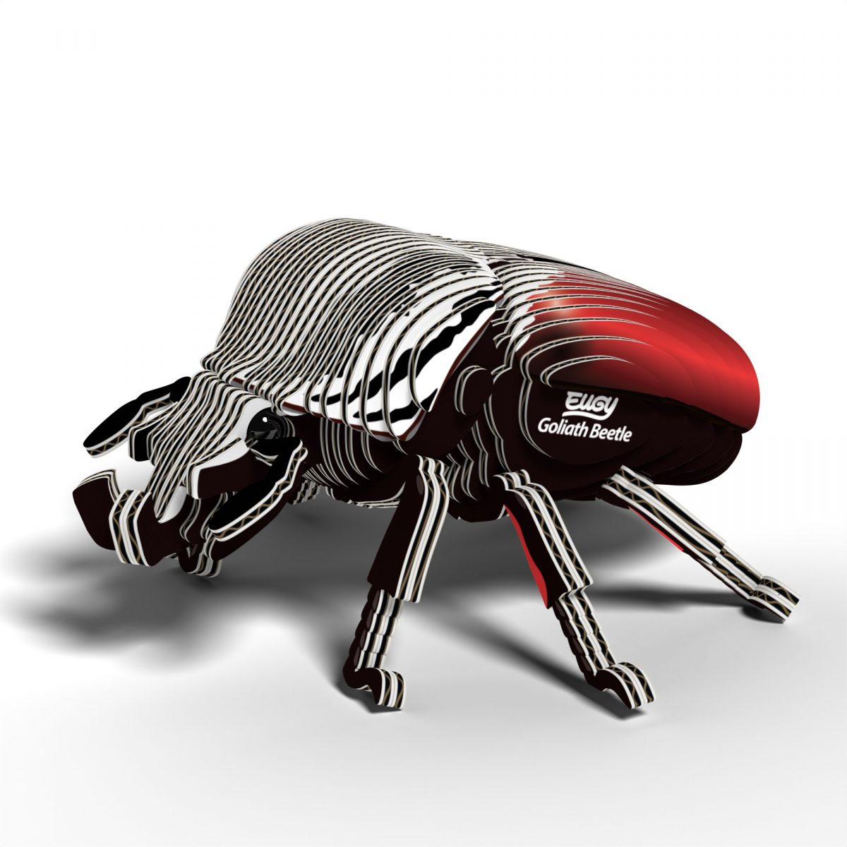 Eugy Goliath beetle puzzle 3d