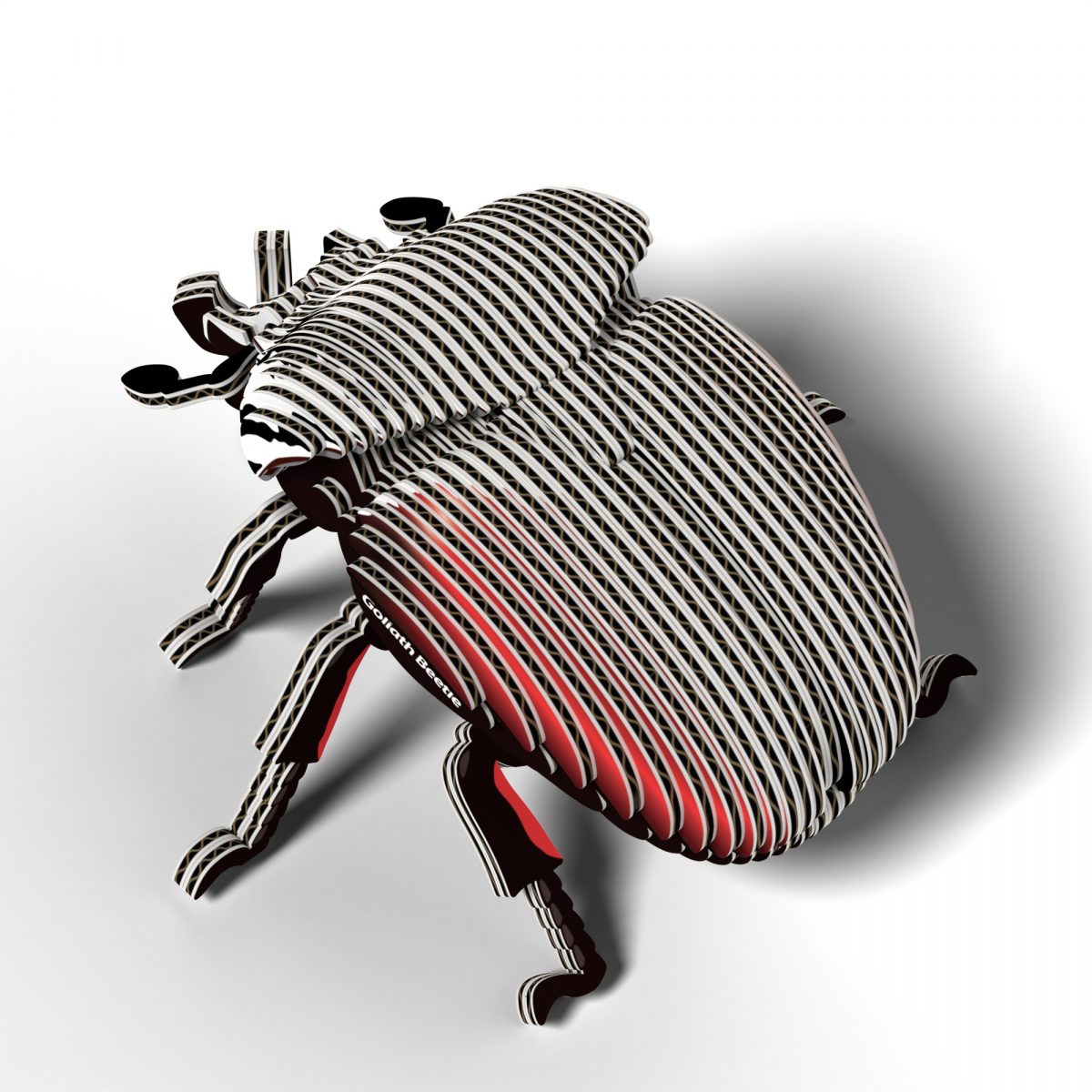 Eugy Goliath beetle puzzle 3d