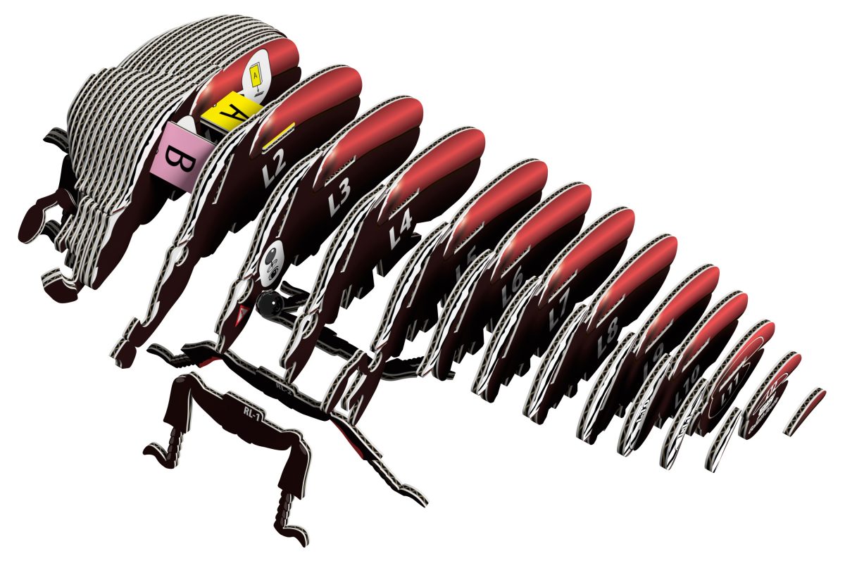 Eugy Goliath beetle puzzle 3d