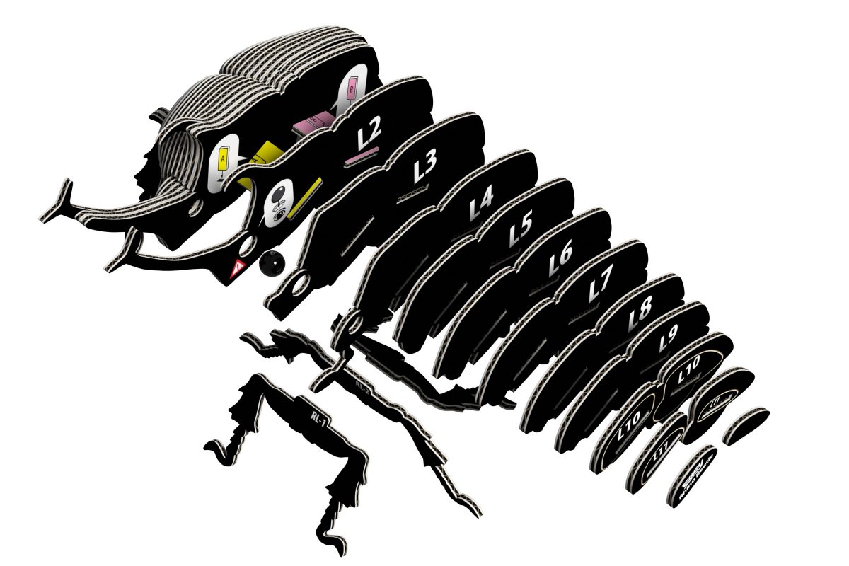 Eugy rhino beetle puzzle 3d