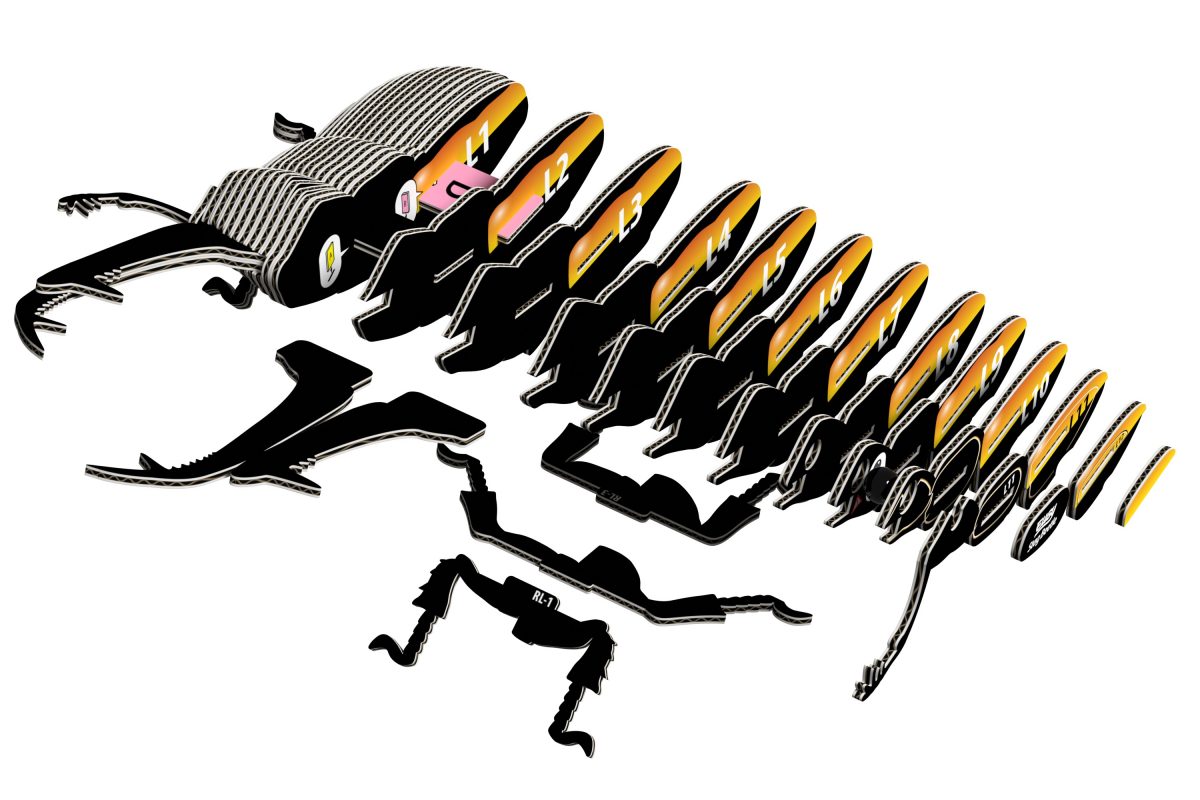 Eugy stag beetle puzzle 3d