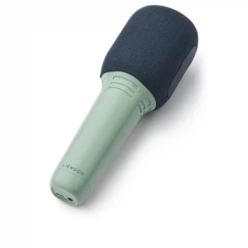 microfon karaoke