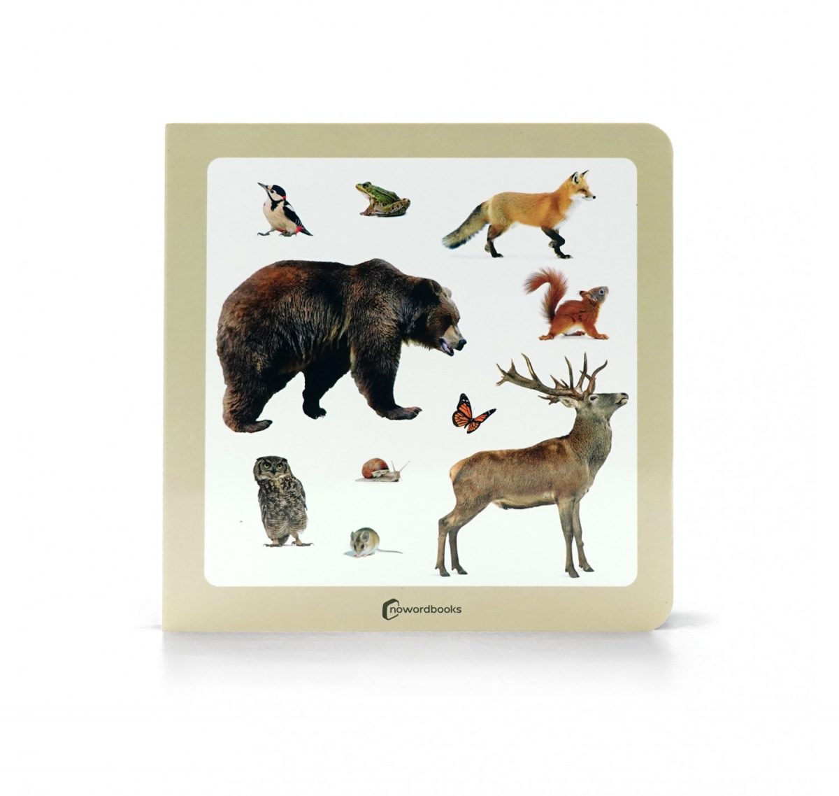 nowordbooks animals del bosc