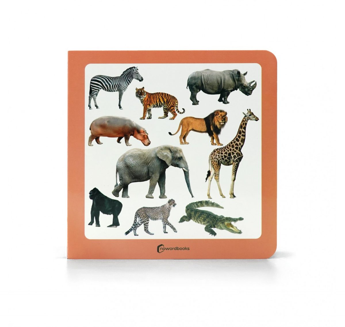 nowordbooks animals salvatges