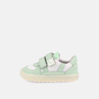 Caicos verd Blanditos