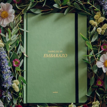 diari d'embaràs natbuk