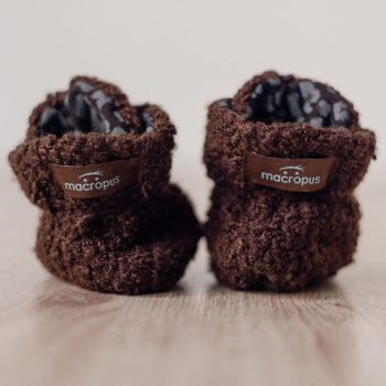 Peücs porteig hivern