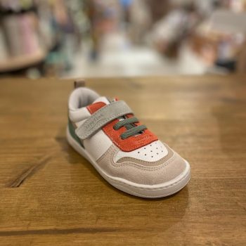 Zapy primavera javalambre gel savia