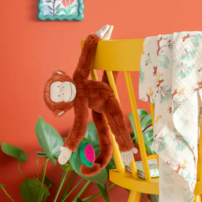 Mono Mochica d'activitats Forêt Mawa