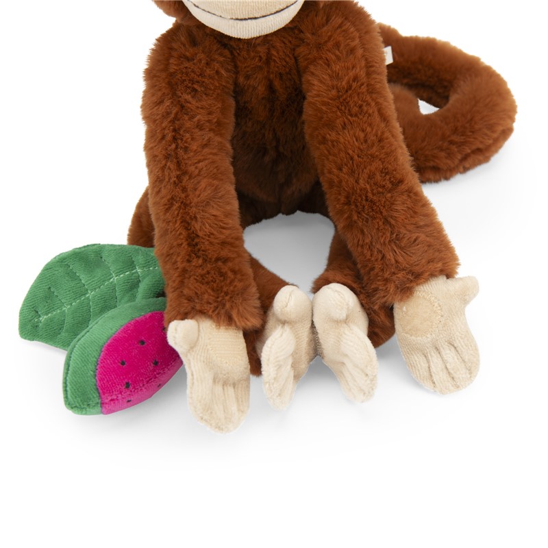 Mono Mochica d'activitats Forêt Mawa