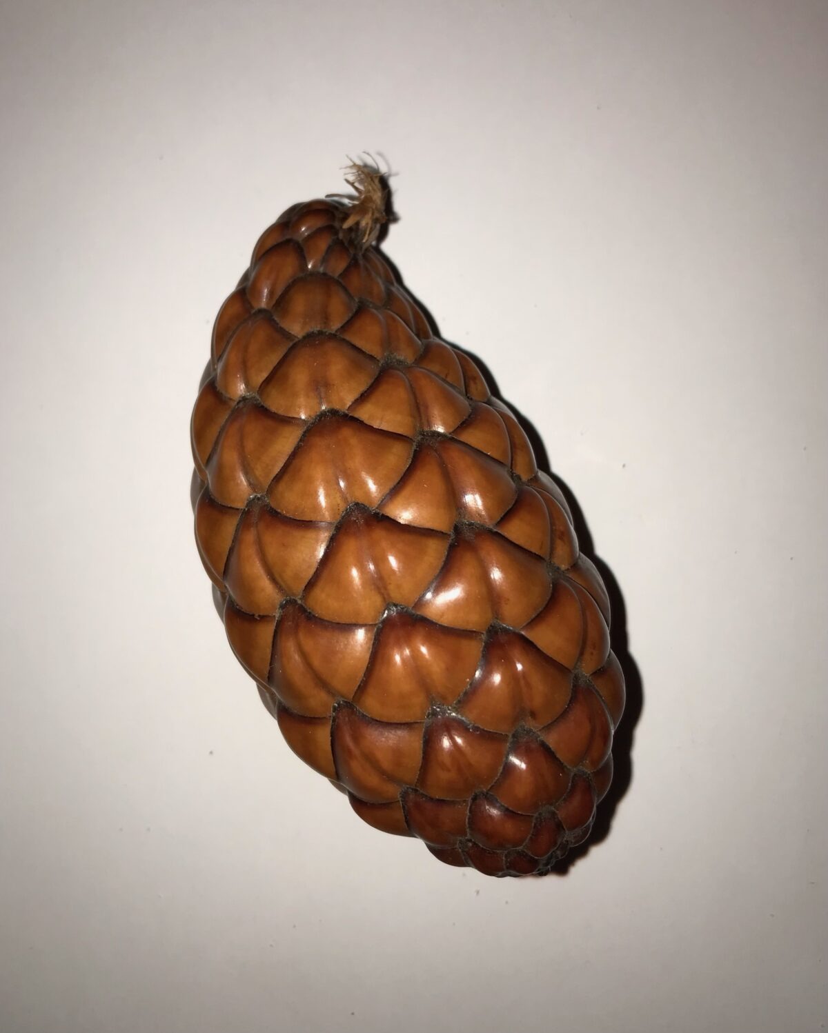 Piña Cerrada Thika panera dels tresors