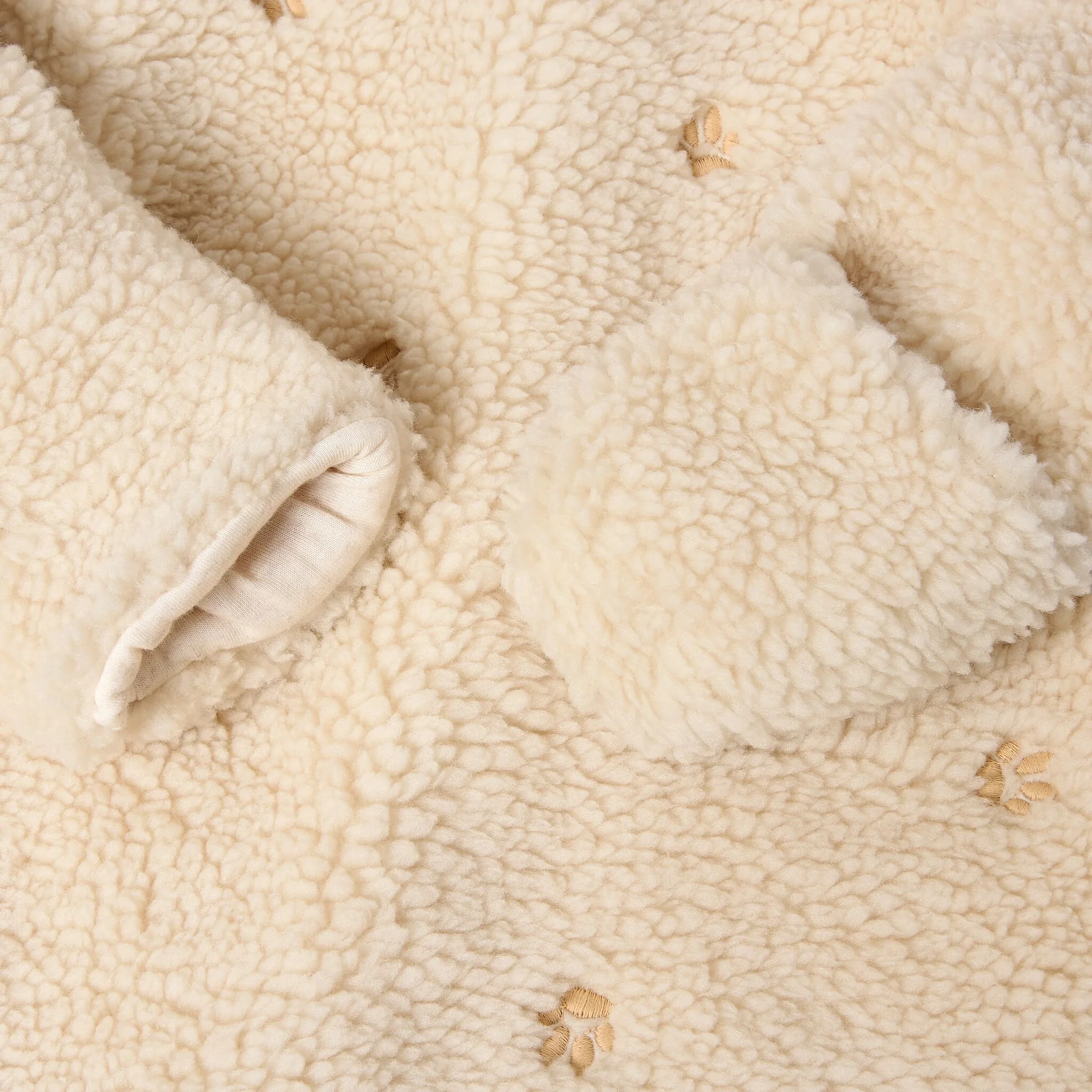 granota teddy