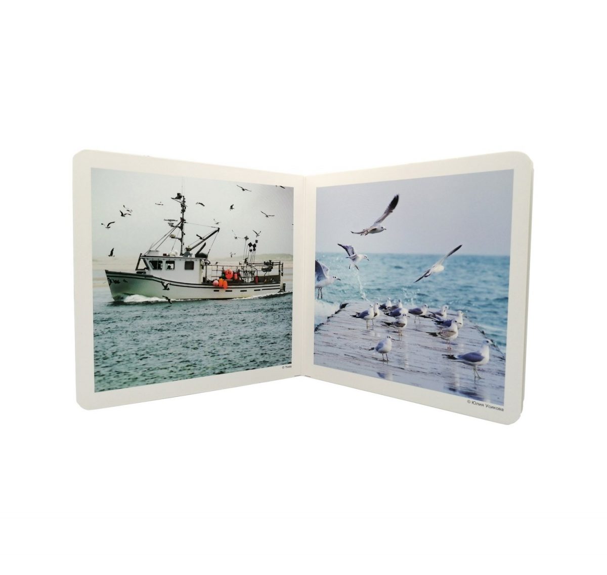 Libro de fotografías de aspectos relacionados con el mar. Se incluyen diez fotografías de: banco de peces, piragüismo, pescador, faro, embarcación, gaviotas, playa, submarinismo, coral y olas.